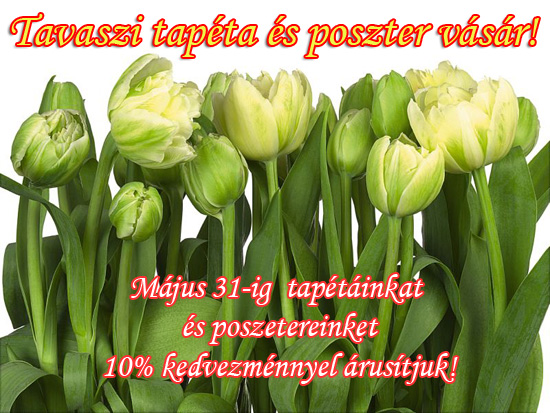 tavasz_twa_550_full.jpg
